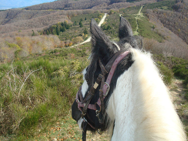 picnic-lusso-passeggiata-cavallo-vicino-chianti-reggello-firenze-toscana-tenuta-selvaggia